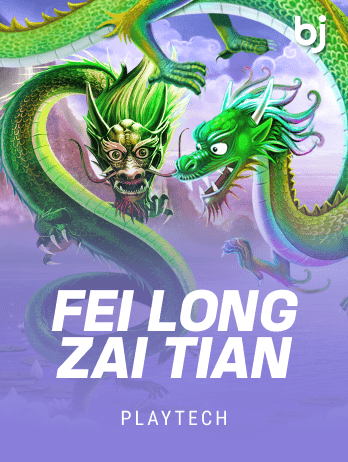 Fei Long Zai Tian game thumbnail